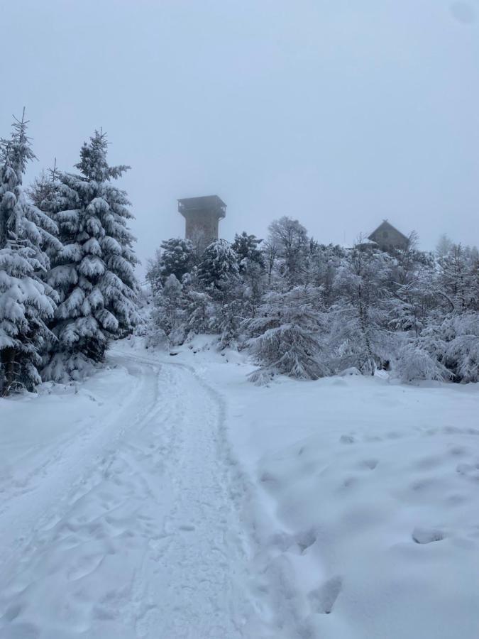 Platynowy Διαμέρισμα Szklarska Poręba Εξωτερικό φωτογραφία
